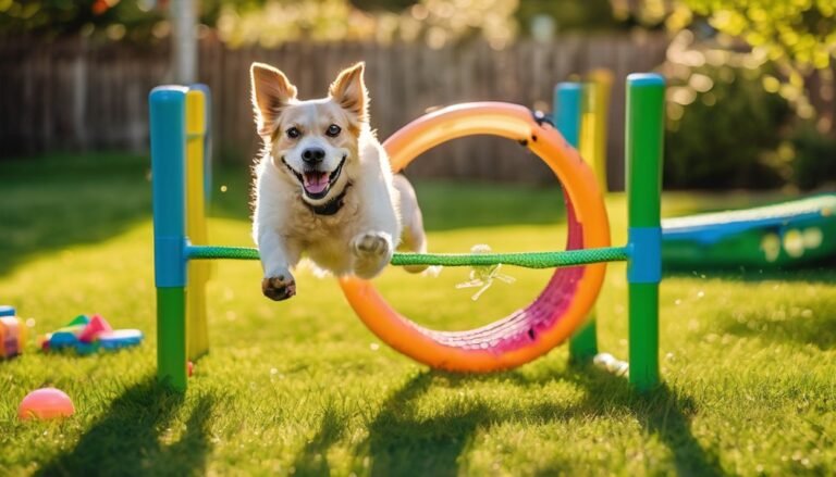 Top 10 Play Equipment for Dogs to Boost Fun and Fitness
