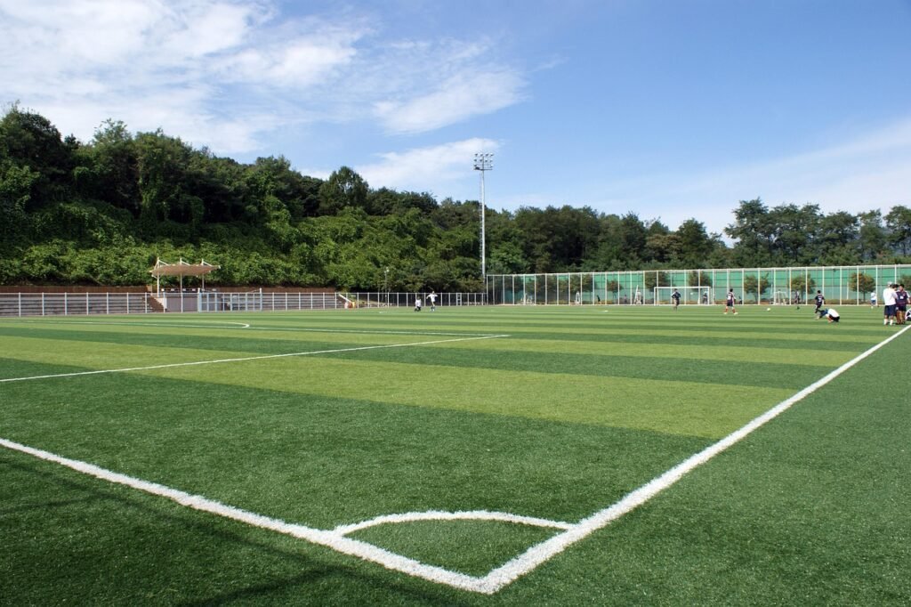 sports, football, exercise, early football, artificial turf, ball, playground, hobby, soccer ball, artificial turf, artificial turf, artificial turf, playground, playground, playground, playground, playground-2620593.jpg